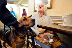 K-9 Briggs visits with resident Wilda Laughman
